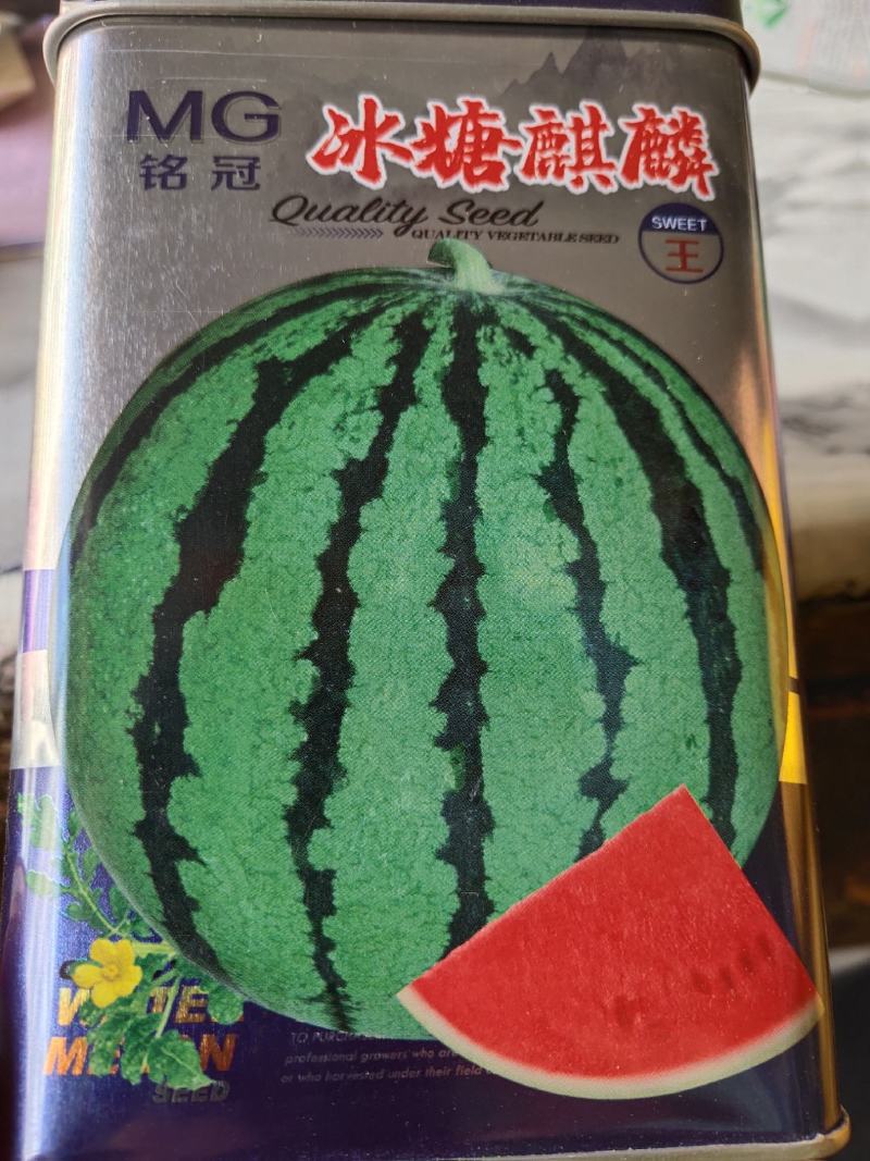 冰糖麒麟西瓜种子，早熟品种，雌花率高。坐果性好。外观美丽