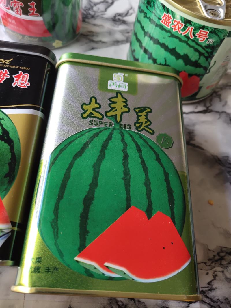 大丰美西瓜种子，果实圆形，长势旺，抗病能力强，