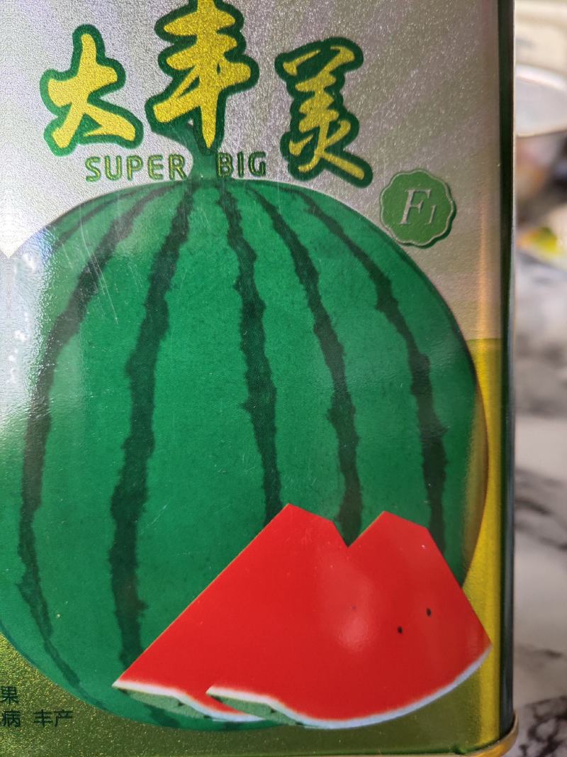 大丰美西瓜种子，果实圆形，长势旺，抗病能力强，