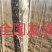 杨树苗107货大量，【原地统货】！！带土，成活率高