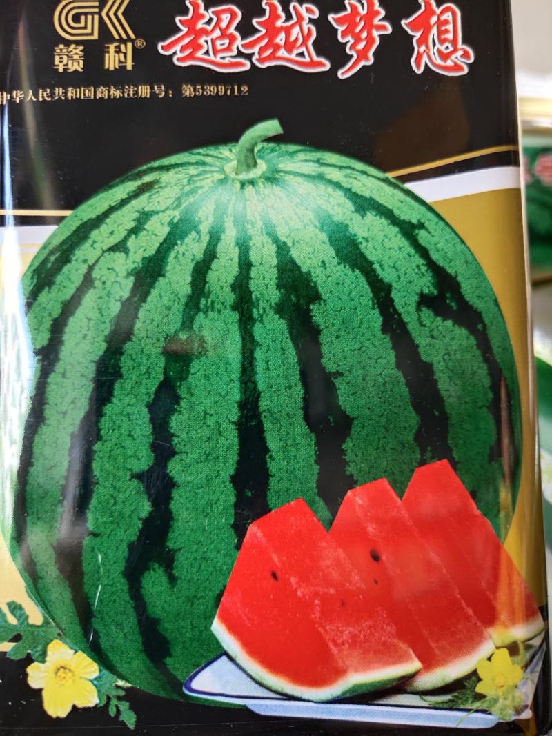 超越梦想西瓜种子，抗病能力强，