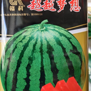 超越梦想西瓜种子，抗病能力强，