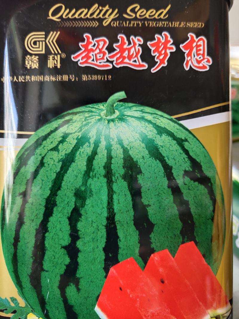 超越梦想西瓜种子，抗病能力强，