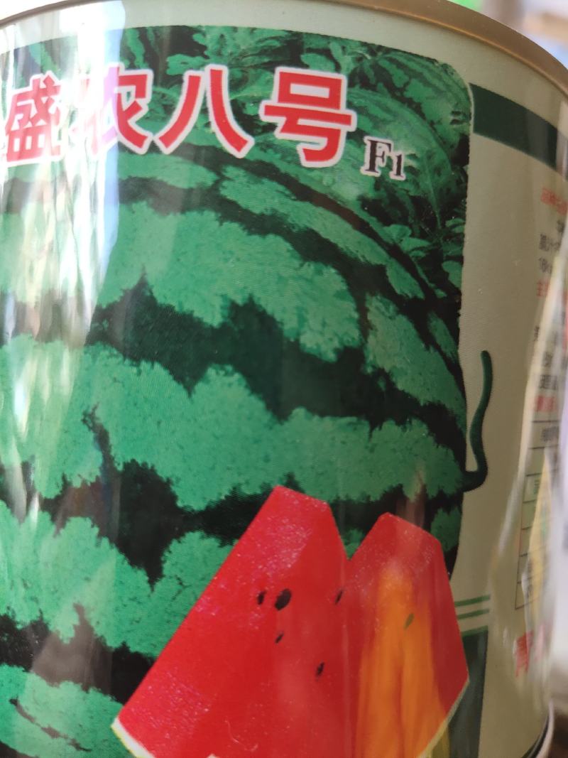 盛农八号，西瓜种子，中晚熟种，口感甜脆，