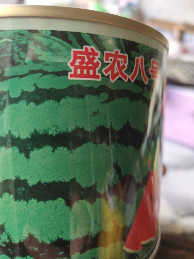 盛农八号，西瓜种子，中晚熟种，口感甜脆，