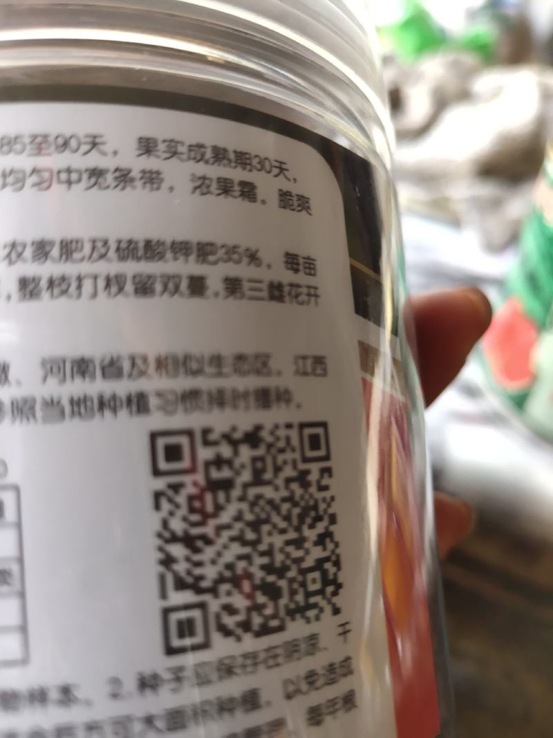 超甜地雷王，早熟品种，西瓜种子，