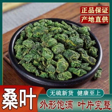 特级野生霜后桑叶茶新鲜桑树叶桑葚冻干冬桑叶泡茶中桑叶干中