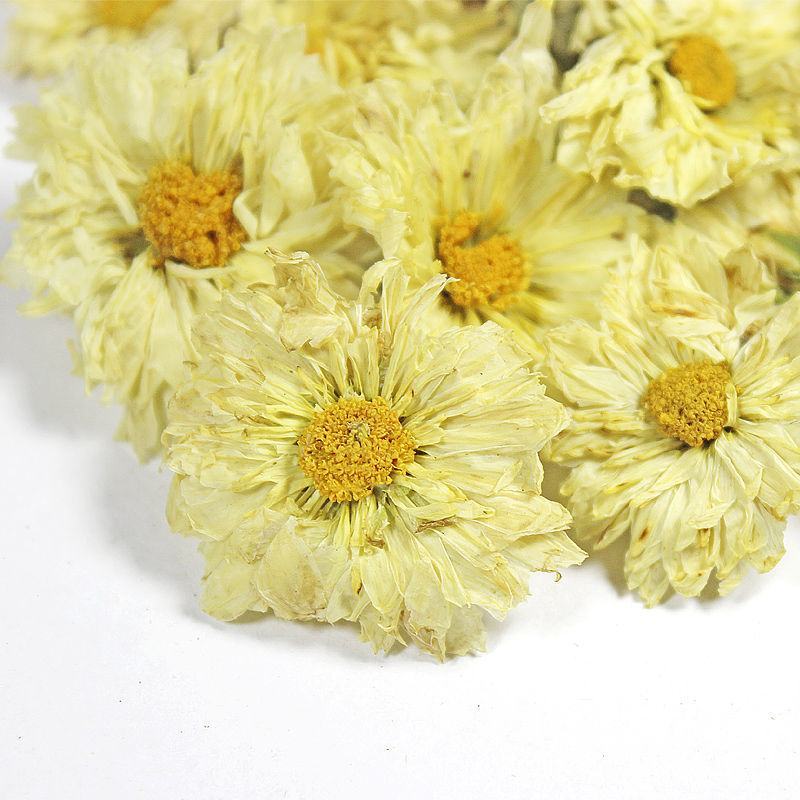 菊花茶杭白菊500g正品桐乡杭白菊散装杭菊杭州白菊花贡菊