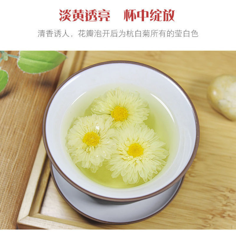 菊花茶杭白菊500g正品桐乡杭白菊散装杭菊杭州白菊花贡菊