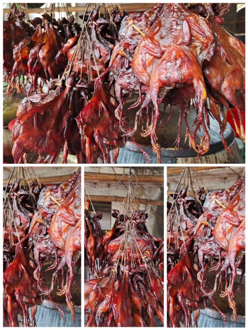 广西三江县丹洲镇腊鹌鹑