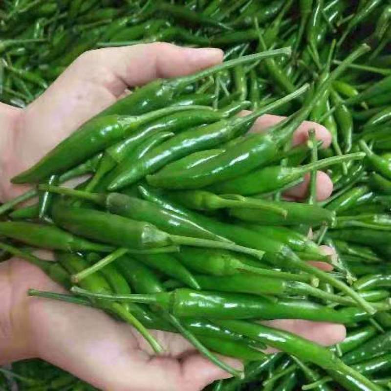 高山天然农副产品（广西乐业）