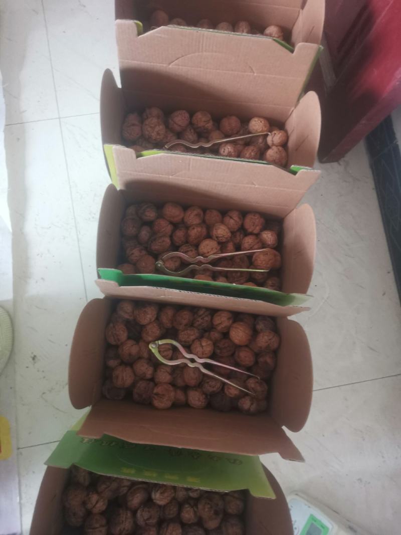 高山天然农副产品（广西乐业）