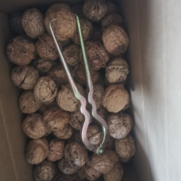 高山天然农副产品（广西乐业）