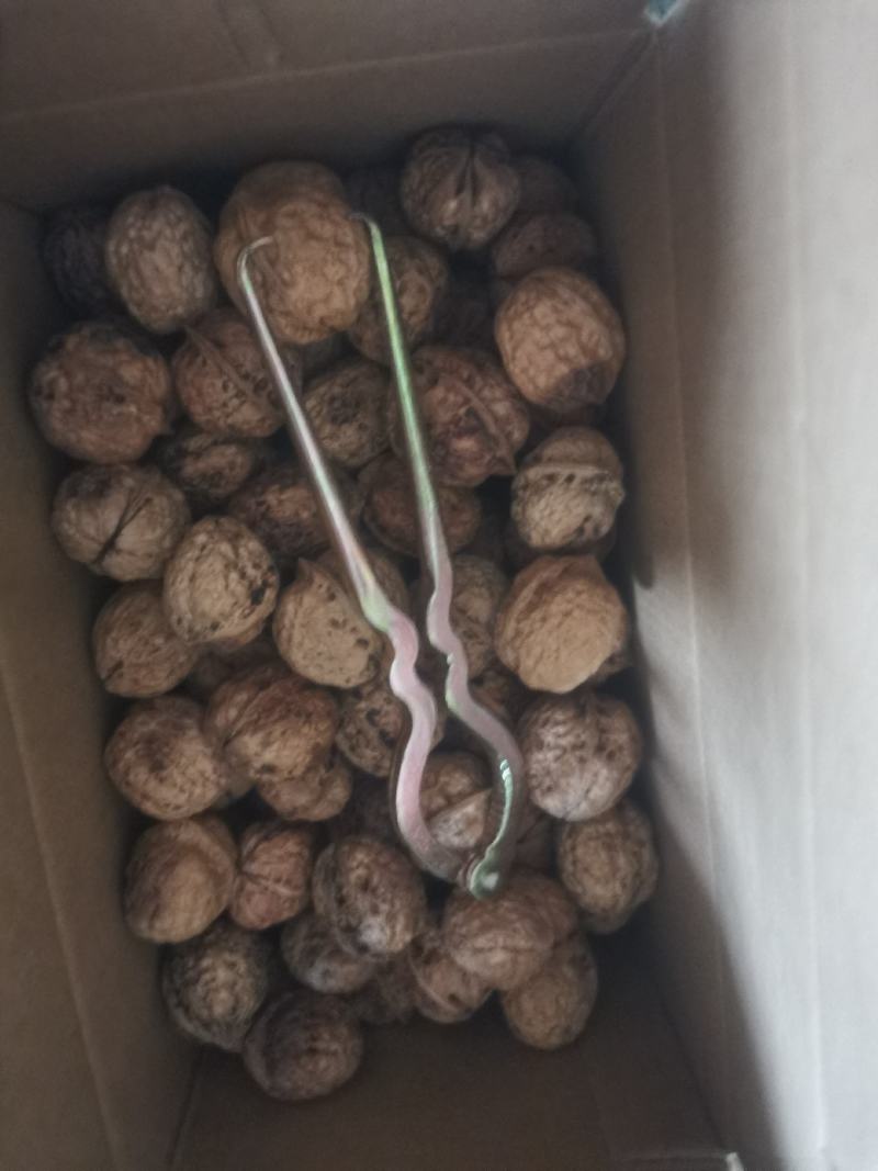 高山天然农副产品（广西乐业）