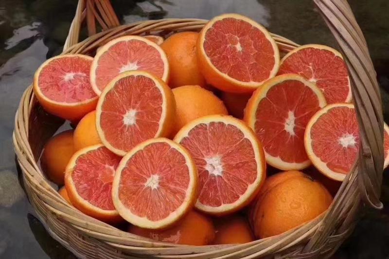 血橙，中华红橙，红心橙挂树鲜果，自家果园无中间商。