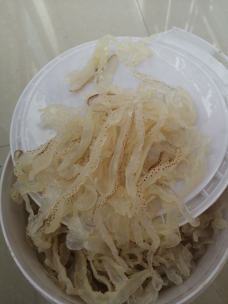 海蜇丝，白花丝价格便宜，一手货源大量有货，要做只做优质货
