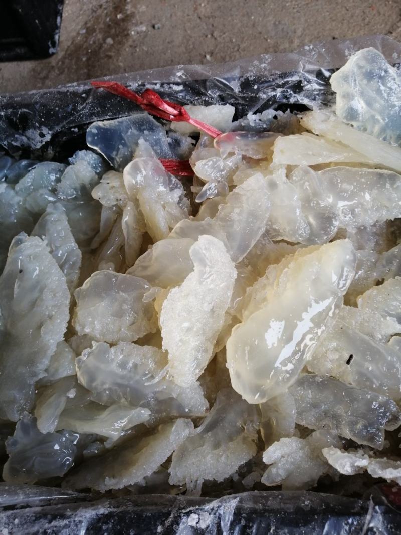 海蜇丝，白花丝价格便宜，一手货源大量有货，要做只做优质货