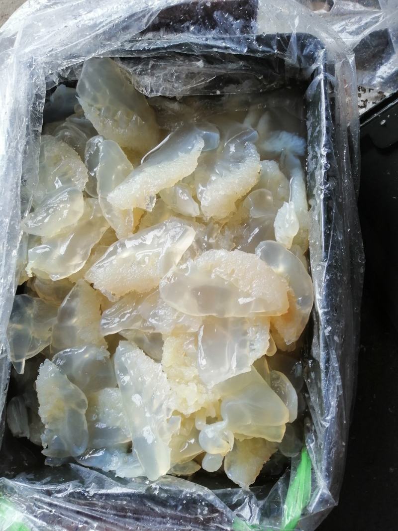 海蜇丝，白花丝价格便宜，一手货源大量有货，要做只做优质货