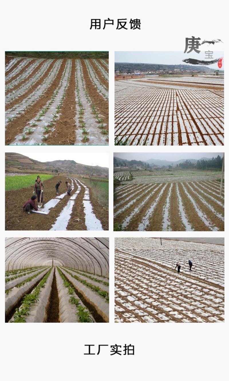 农用黑地膜双色膜除草膜白地膜保温保湿种菜种植膜