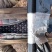 农用黑地膜双色膜除草膜白地膜保温保湿种菜种植膜