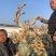 金银花老桩盆景基地直销
