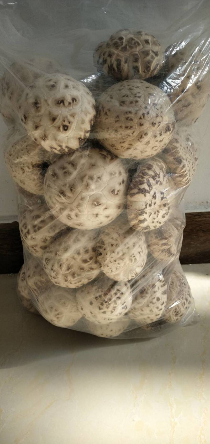 【精品】香菇白花菇，产地直发量大从优，合作社产，质量保证