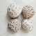 【精品】香菇白花菇，产地直发量大从优，合作社产，质量保证