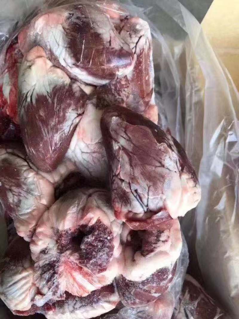 羊心肺，一件起发，长年有货，量大从优，欢迎各位光临！