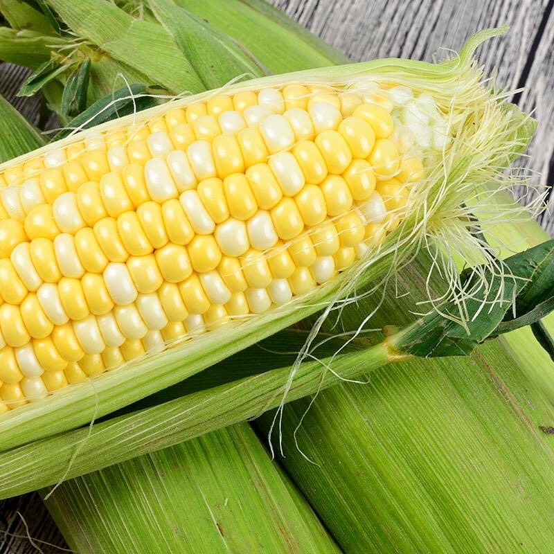 新鲜甜玉米水果玉米双色玉米鲜食玉米，一件代发，社区团购