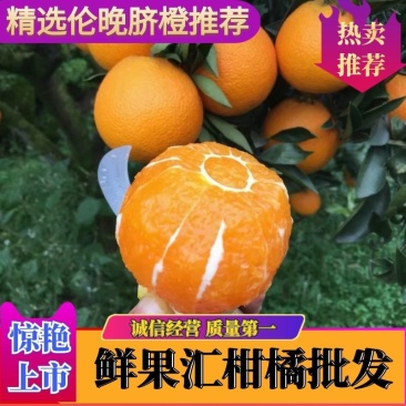 🅰伦晚脐橙纯甜入口化渣可视频看货产地直销