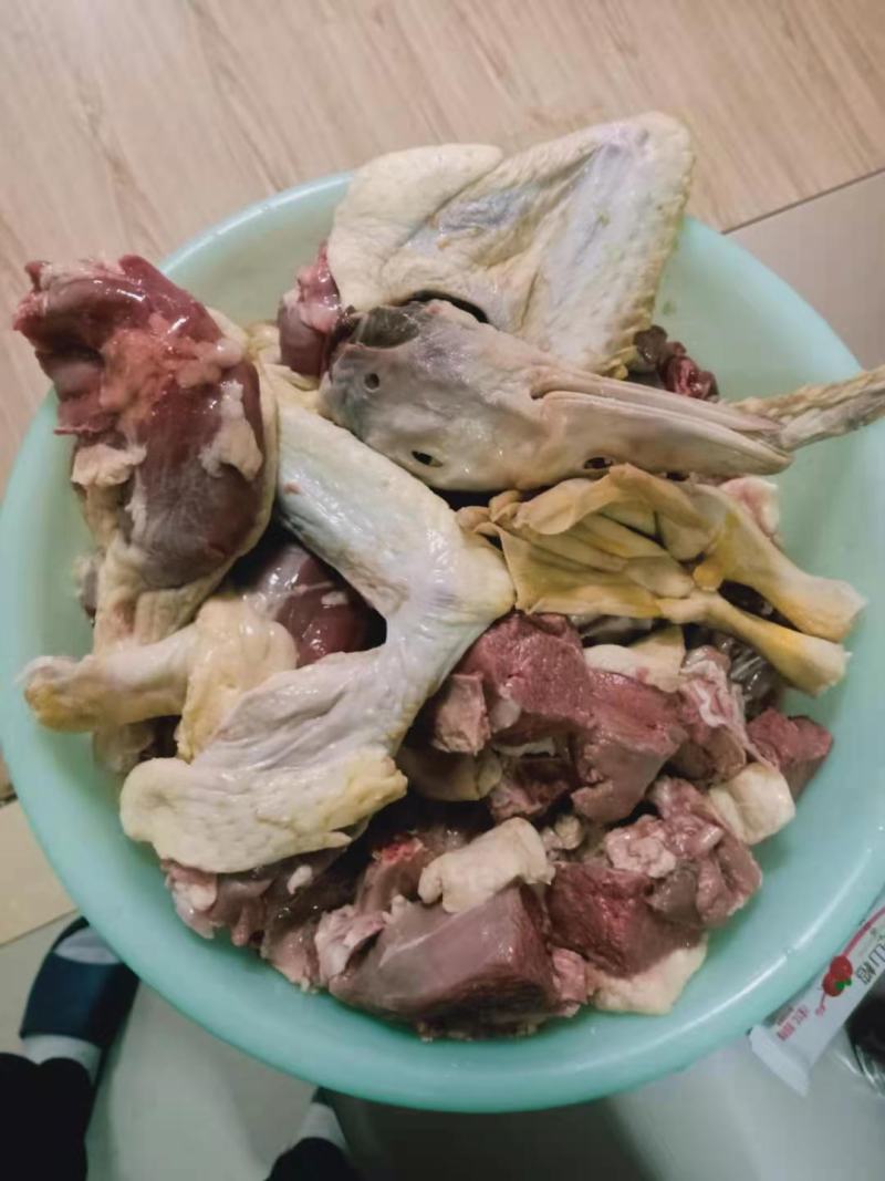 非洲雁飞鸭番鸭8-10斤一只