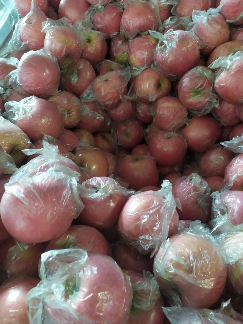 礼泉红富士苹果，大量出售各种规格都有，膜袋富士，纸加膜，