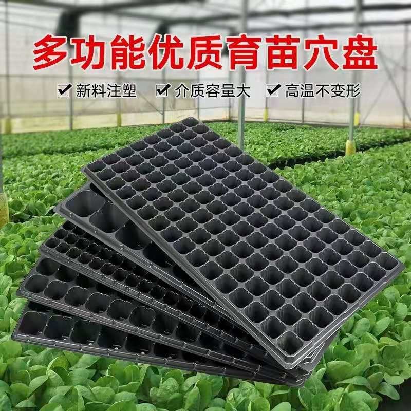 穴盘