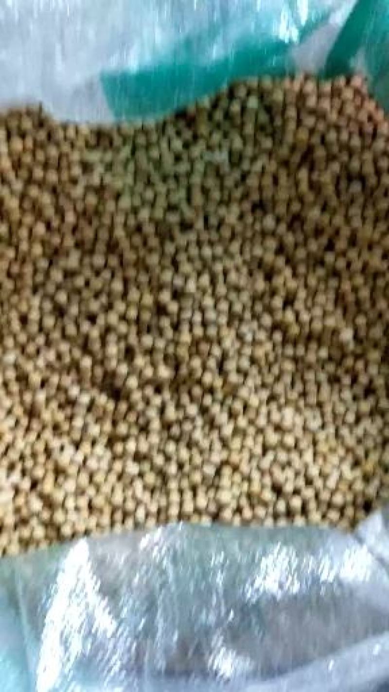 传统冷榨东北非转基因大豆油，花生油