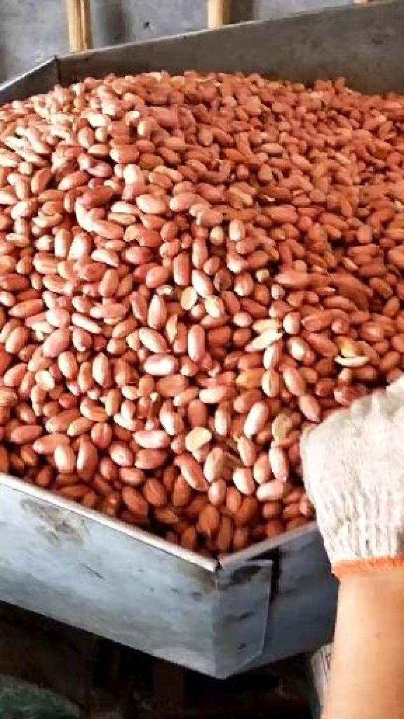 传统冷榨东北非转基因大豆油，花生油