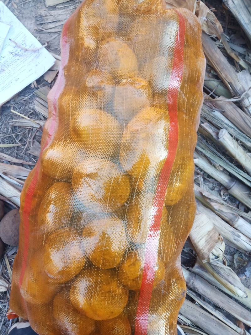 精品黄心土豆，产地直销，价格合理，品种齐全，欢迎您来电