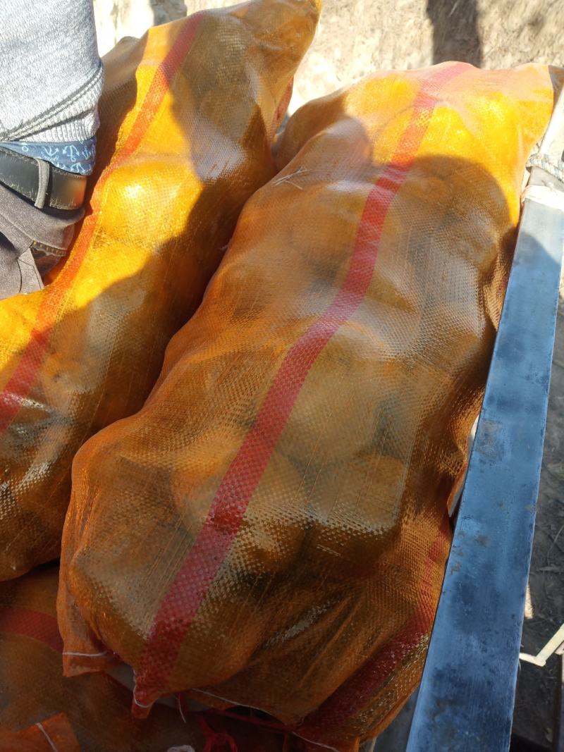 精品黄心土豆，产地直销，价格合理，品种齐全，欢迎您来电