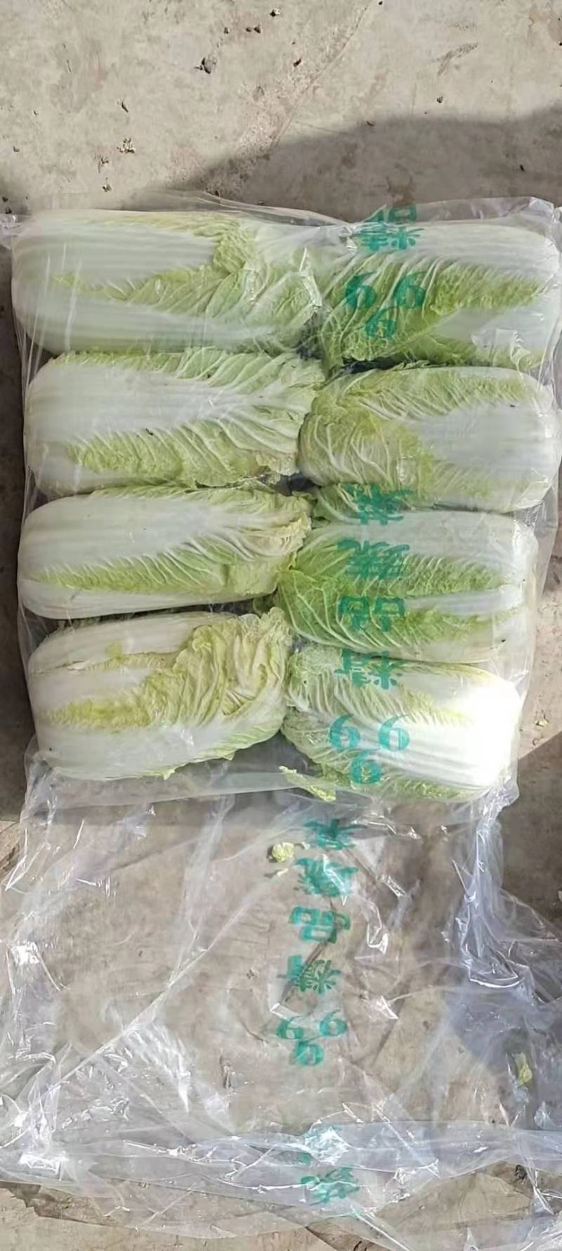 通许冷库青叶黄芯娃娃菜大量出库中，质优价廉