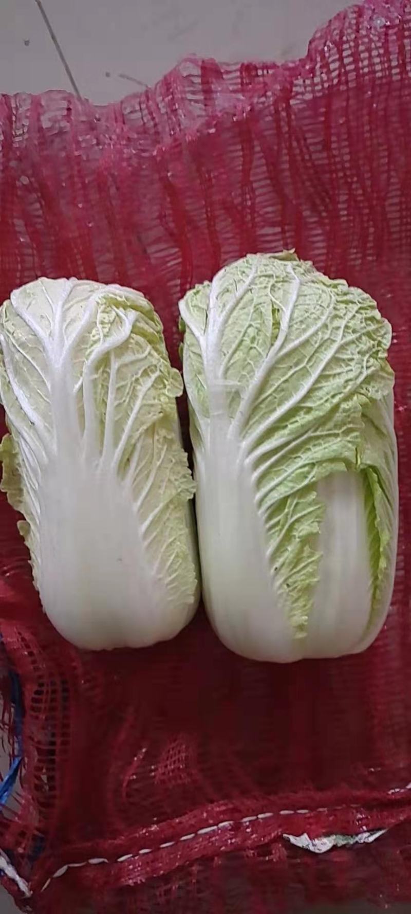 通许冷库青叶黄芯娃娃菜大量出库中，质优价廉