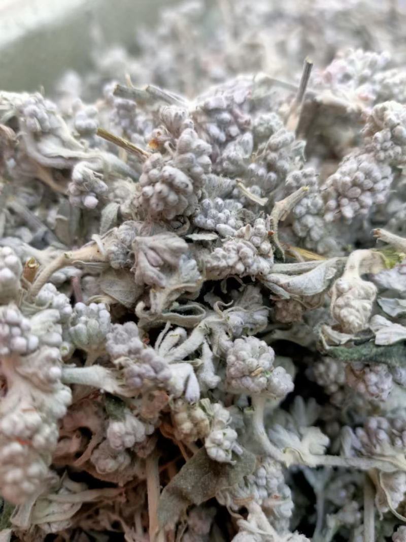 密蒙花，正品野生蒙花质量保证，经营各种中药材欢迎咨询合作