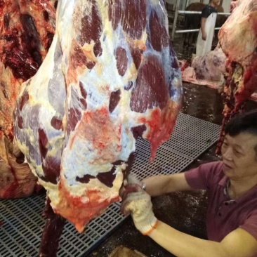 每日现杀负责包送鲜牛肉到场价格