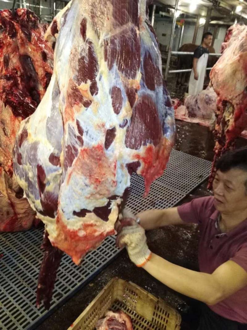 每日现杀负责包送鲜牛肉到场价格