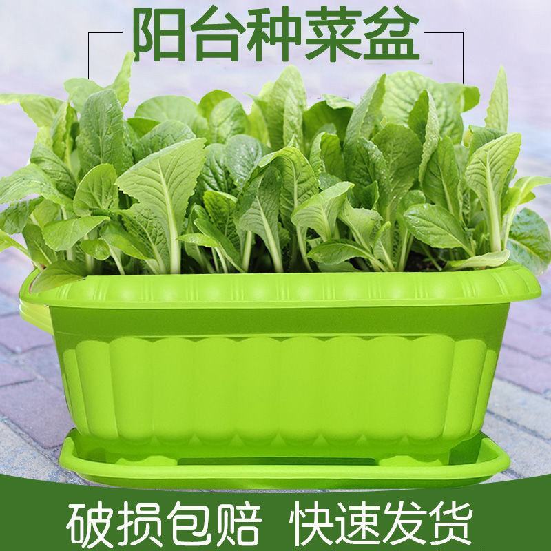 菜盆长方形花盆塑料阳台种菜花盆树脂配托盘大绿萝盆栽兰花葱