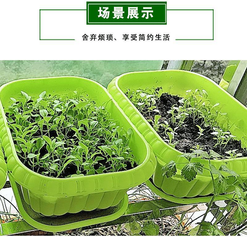 菜盆长方形花盆塑料阳台种菜花盆树脂配托盘大绿萝盆栽兰花葱