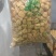 豆泡豆腐泡养生黑油泡品质豆腐泡厂家直销电商专用