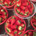 万亩草莓🍓种植区现以大量上市，品种九香甜宝