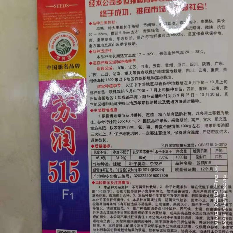 苏润516辣椒种子产量高果型靓，基地专用辣椒种子牛角椒