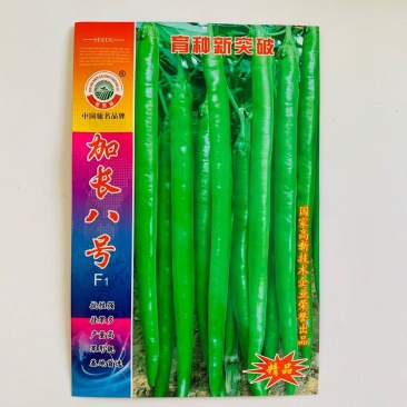 加长八号辣椒种子，抗性强，产量高，加长八号辣椒种子