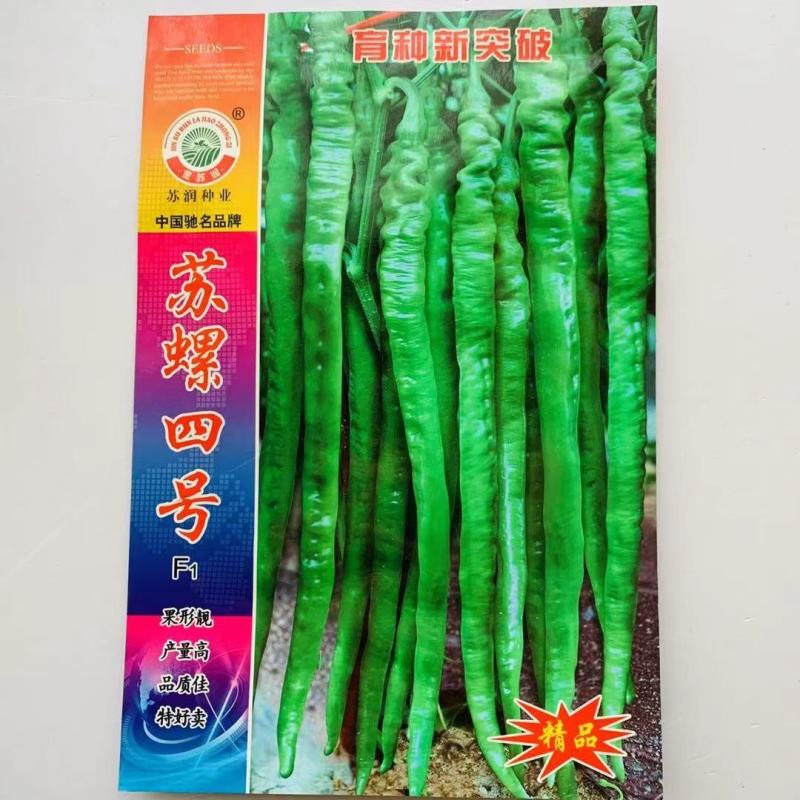 苏螺四号辣椒种子，产量高，品质佳，螺丝线椒种子