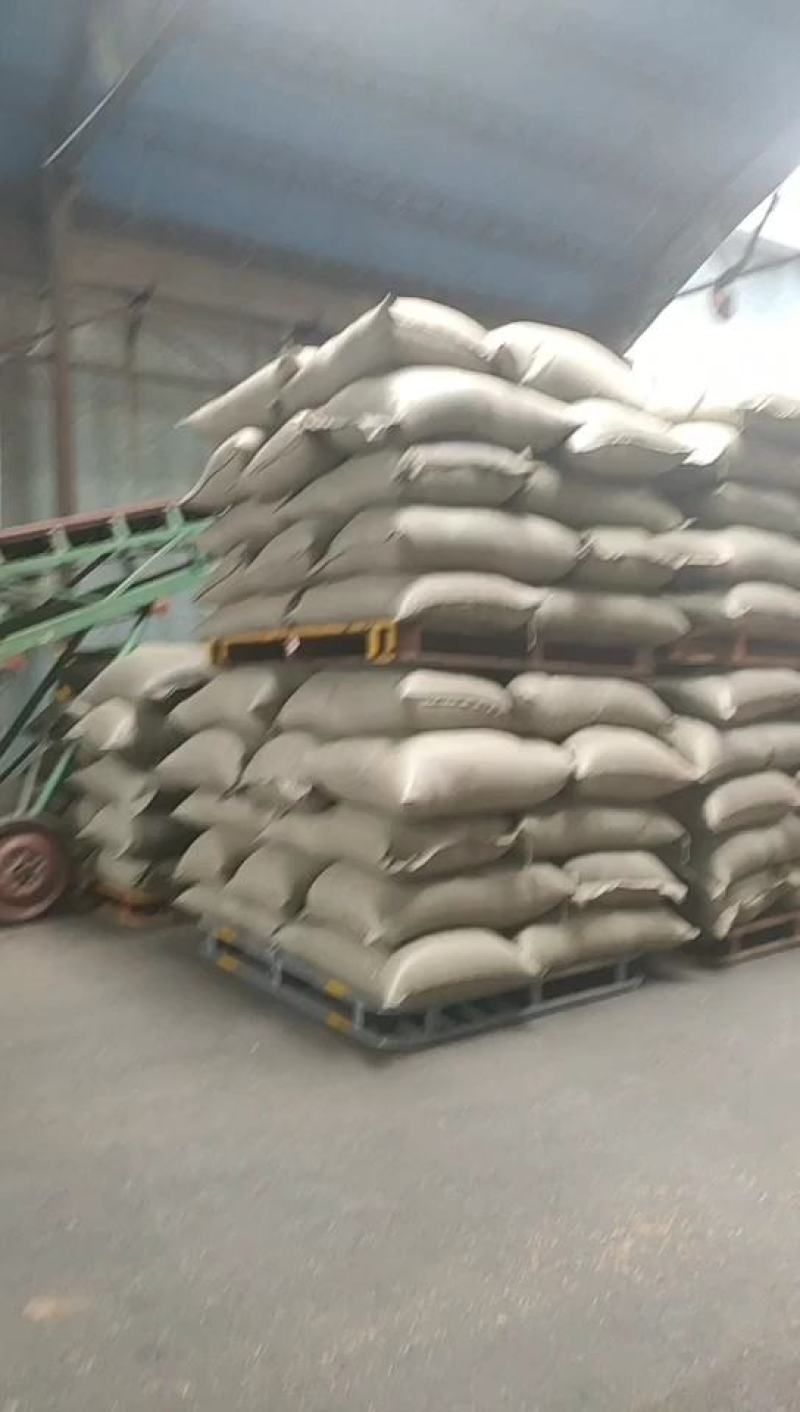 稻壳厂家直销广西桂林新鲜谷壳除尘谷壳，无霉变日产60吨